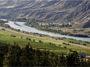 One of B.C.'s newest designated wine regions is the Thompson Valley nestled among the natural beauty of the North and South Thompson rivers in and around Kamloops. For 0214 col gismondi [PNG Merlin Archive]