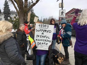 Protesters chant "justice for Teddy" at the Duncan courthouse on Wednesday, Feb. 27, 2019, on the first day of trial for Melissa Tooshley and Anderson Joe, who are charged with failing to provide the necessities of life for their dog.