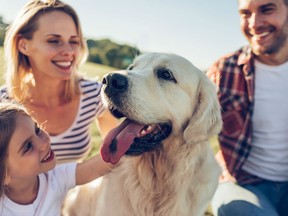 1000px_family with dog