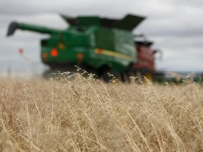 Canada ships roughly $2.5 billion of Canadian canola to China each year.