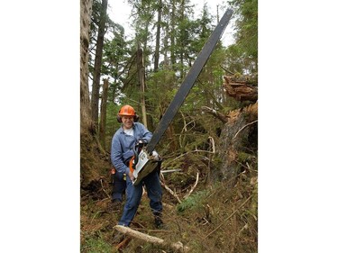 Sun Photographer Mark van Manen tries out one of serious chainsaws used on Haida Gwaii, in 2002.