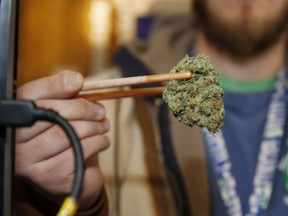FILE - In this Dec. 19, 2014 file photo, a sales associate uses a pair of chopsticks to hold a bud of Lemon Skunk, the highest potency strain of marijuana available at the dispensary in Denver. According to research released on Tuesday, March 19, 2019, scientists say smoking high-potency marijuana every day could increase the chances of developing psychosis by about five times.