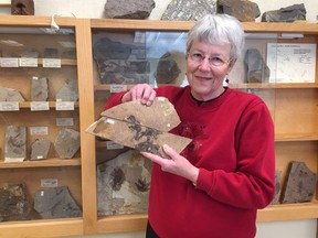 Patricia Petley discovered a fossil of an ancient mousebird at Driftwood Canyon.