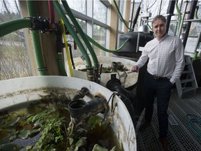 James Tansey at the Solar Aquatics Lab.  The lab turns grey water into potable water at the Centre for Interactive Research and Sustainability.