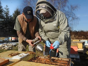 Jeff Lee and Amanda Goodman Lee (right) are the owners of Creston-based Honey Bee Zen Apiaries, a mid-size commercial beekeeping operation. They discovered last fall that about 70 per cent of their bees had been ravaged by predators.