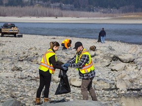 The 12th annual Fraser River Cleanup volunteers clean up trash on the banks of the Fraser River near Chilliwack in March. Last year they hauled away more than 20 tonnes of garbage, including mattresses, bullet casings and construction waste. (Francis Georgian/PNG FILES)