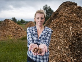 The B.C. government is offering money to hazelnut growers to help them replant orchards decimated by blight. In this 2015 file photo, Shelly Krahn of Canadian Hazelnut Inc. stands in front of a pile of mulched hazelnut trees.