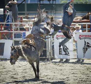 Langley  B.C.  May 22 2017 Riding high -- Saddle Bronc rider Cort Scheer flies wild through the air off his horse "Blue Feather" taking first place in the event,  at the 71st annual Cloverdale Rodeo and country fair.     Mark van Manen PNG Staff  photographer  [PNG Merlin Archive]