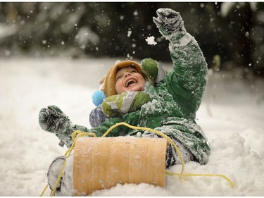 Four year old Alexander Ganske  took advantage of the fresh  snowfall  to test out his  toboggan in hills of Lions Bay, on Nov. 24,  2010.