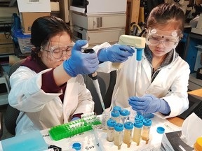 Crystal Zheng (left) and Ruini Xiong working on biocompatible material in the lab.