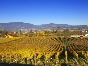 The Spearhead Valley is gaining much attention of late for the quality of it's Pinot Noir.