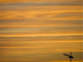 Crows fly past a construction crane at sunset in Vancouver on March 27. There are many reasons being cited for a drop in home prices here, including a slew of B.C. taxes. But it's also the case that prices are falling elsewhere in what are very geographically distant, but related, higher-end markets.