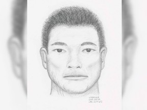 Police have released a sketch of a suspect who allegedly assaulted a woman who tried to intervene in what appeared to be a domestic dispute.