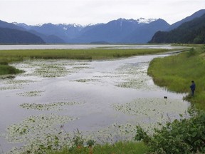 An angler in Pitt Meadows, next to Pitt Lake.