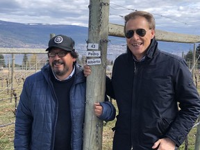 Wine consultants Pedro Parra and Alberto Antonini at Switchback Vineyard in Summerland.