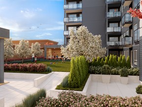 rendering of courtyard at Ventura by RDC Group