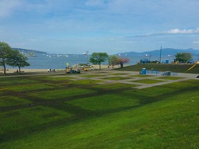 Vancouver's park officials will be on site Sunday at Sunset Beach Park to assess the turf's condition following the weekend's massive 4/20 event. This photo was taken Sunday, April 21, 2019, one day after the Vancouver 4/20 event took place.