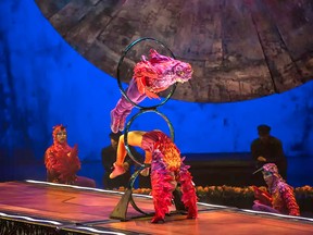 Luzia, the latest high-flying touring show from Cirque du Soleil, is in Vancouver until December 29.
