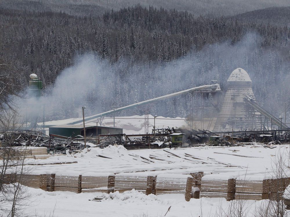 New Review Of Worker Safety Underway Seven Years After B.C. Mill ...