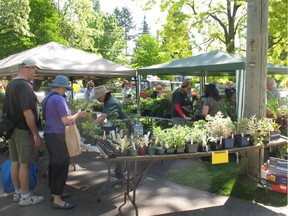 Community plant sales are popular across B.C. in the late spring.