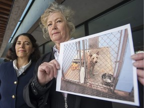 Lawyer Victoria Shroff, left, with client Susan Santics, whose dog Punky is on death row for attacking a woman in an off-leash park.