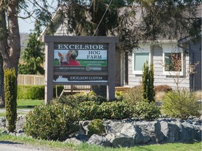 The Excelsior Hog Farm in Abbotsford on April 1. Police say cameras were installed inside and outside a barn at the farm during a March break-in.