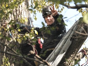 Terry Christenson, a 71-year-old grandfather of two and former Juno nominee, scaled a tree inside the Westridge Marine Terminal that has an eagle deterrent on it and erected a mid-air camp to protest the Trans Mountain Pipeline.