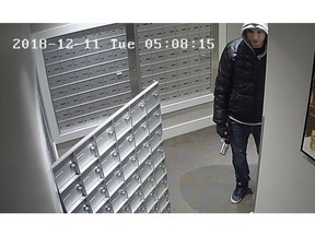 Burnaby RCMP released this image of a man wanted in a string of mail box thefts in Burnaby over the new year.