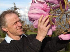 Paul Reimer, seen here with a Bloodmoon magnolia, is a leading magnolia authority. Photo: Reimer's Nurseries. For Brian Minter column. [PNG Merlin Archive]
