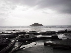 Driftwood on the Pacific coast, at Long Beach on the west coast of Vancouver Island.