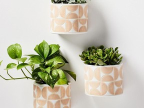 Stylish and stylized, these planters will brighten any space. $39.99, westelm.ca
