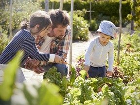 Vegan Kids