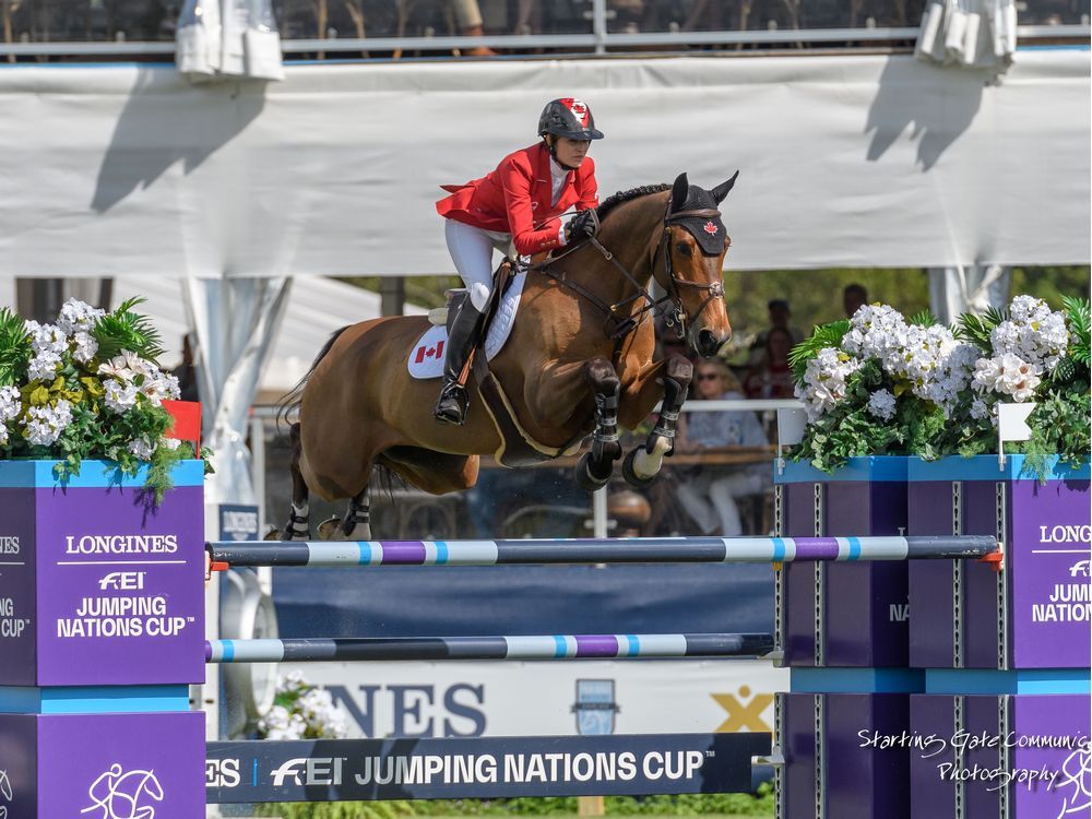 Hometown hero rides into town for international show jumping event