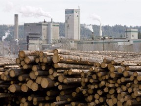 Logs are piled up at West Fraser Timber in Quesnel.