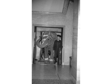 An elephant entering the hotel as part of a publicity stunt back in the 1940s.