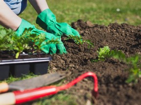 After a long winter and the record February cold, we’re all anxious to get growing, but remember: less is more.