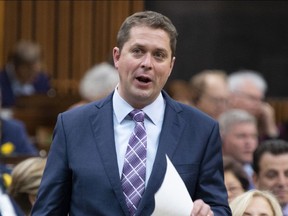 Leader of the Opposition Andrew Scheer rises during Question Period in the House of Commons, in Ottawa, Wednesday, May 29, 2019.