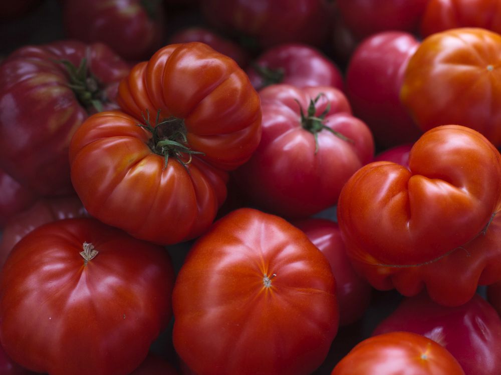Heirloom Brandywine Tomato - Farm Fresh Selects