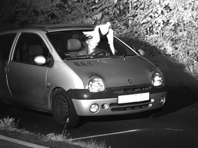 This Tuesday, May 21, 2019 speed camera picture provided by the Police in Viersen, Germany, shows a Pigeon in front of the windscreen of a car. Police in western Germany are attributing to divine intervention a speederís avoidance of a ticket, after a pigeon flew in front of a traffic enforcement camera at the last second. Perhaps inspired by this weekís Ascension Day national Christian holiday, Viersen police said 'the Holy Ghost must have had a plan' to help the driver.