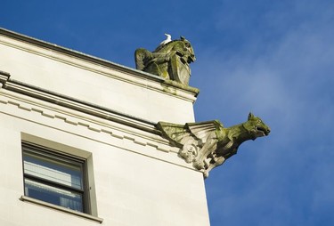 A seagull sits on a Gargoyle at the Hotel Vancouver.