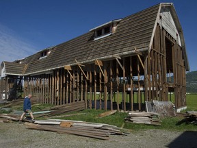 The number of gambrel-style barns are dwindling in the Fraser Valley. The aged structures are either falling down on their own or being dismantled and salvaged for their lumber. Pictured is a barn at 1760 Whatcom Road in Abbotsford as it is being salvaged for its old-growth Douglas fir timbers.
