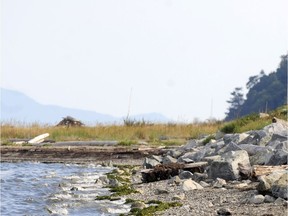 Deas Island Regional Park and Boundary Bay Regional Park (pictured) are temporarily closed because of the COVID-19 pandemic.