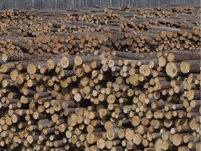Softwood lumber is pictured at Tolko Industries in Heffley Creek, B.C., Sunday, April, 1, 2018. Tolko has announced it will close its sawmill in Quesnel, and reduce the shifts at its Kelowna mill.