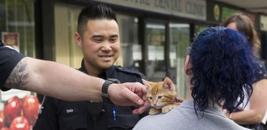 Transit Police Sgt. Clint Hampton (left) reaches out to pet a kitten as he and Const. Darren Chua walk near Surrey Central SkyTrain station.