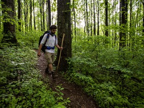 Sacha Servan-Schreiber, from the Boston area, hikes along the Appalachian Trail just north of Ashby Gap, Va., May 13, 2019. Hikers on the trail enjoy nature and create a community, so word spread quickly about a threatening man named James Jordan, who would later be arrested and charged with the murder of one hiker and the stabbing of another.