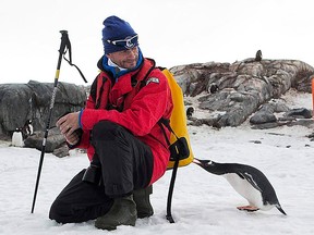 A curious Adelie penguin checks out a adventurer's bag.