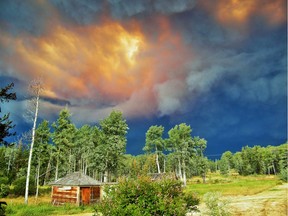 A wildfire south of Burns Lake in B.C.