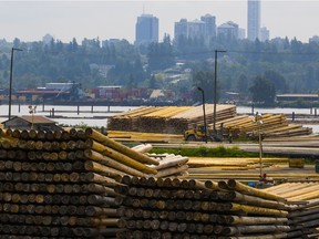 Surrey Board of Trade is hosting a discussion about maximizing the Fraser River for business and economic development, as well as tourism and recreation, on June 4.