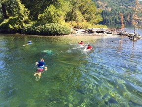 Taking a dip in Ruby Lake