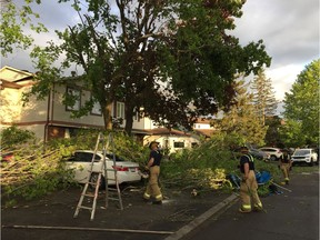 Ottawa Fire Services crew members start working on removing fallen tree branches at a home on Singleton Way in Orléans after a tornado hit the area on Sunday evening